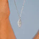 سلسلة-  WS-N016