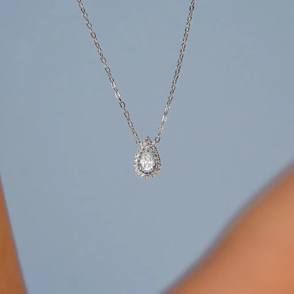 سلسلة-  WS-N021
