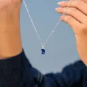 سلسلة-  WS-N025