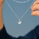 سلسلة-  WS-N044